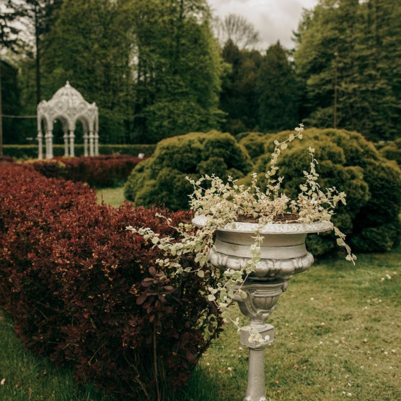 front yard landscaping