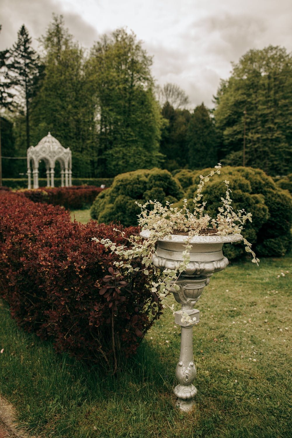 front yard landscaping