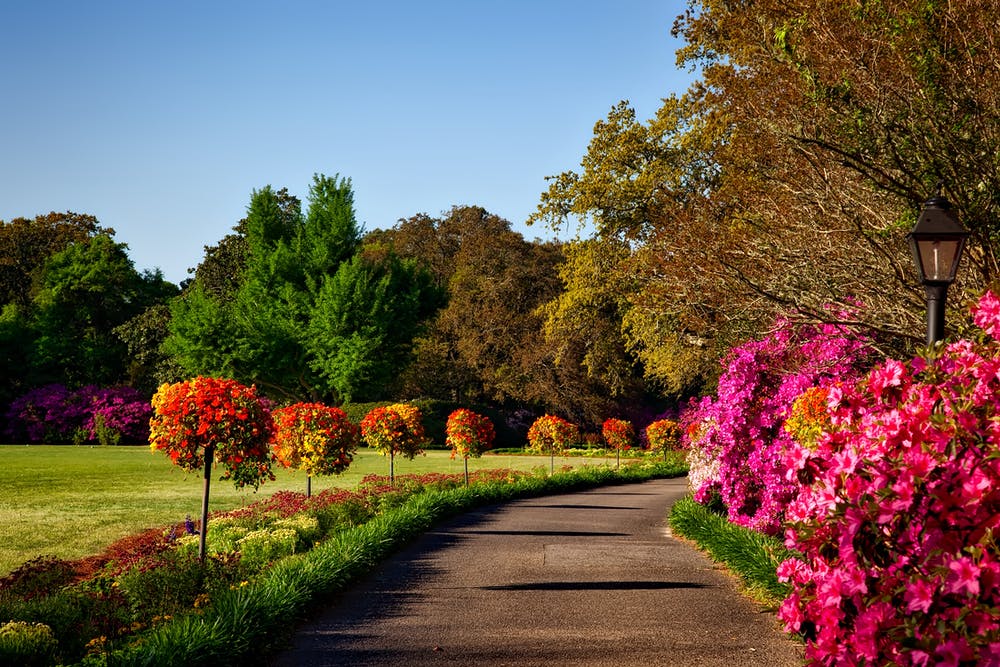 Spruce Up Your Front Walkway