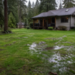 Rain-soaked Vancouver Island yard with soggy lawn showing possible septic system problems after spring rain.