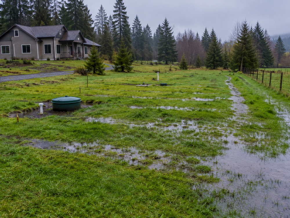 How Wet Coastal Weather Affects Septic Systems on Central Vancouver Island