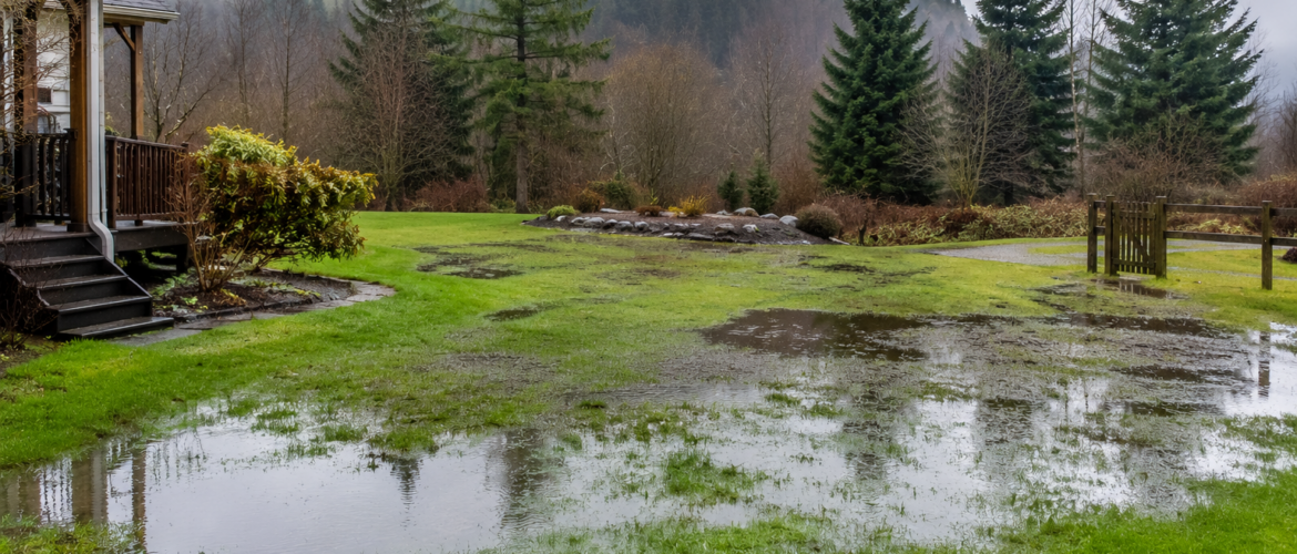 How Wet Spring Weather Affects Septic Systems on Central Vancouver Island