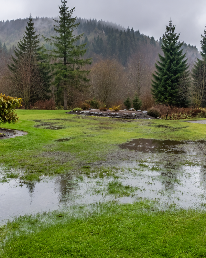 How Wet Spring Weather Affects Septic Systems on Central Vancouver Island