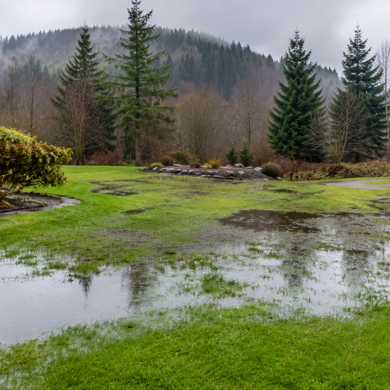 How Wet Spring Weather Affects Septic Systems on Central Vancouver Island